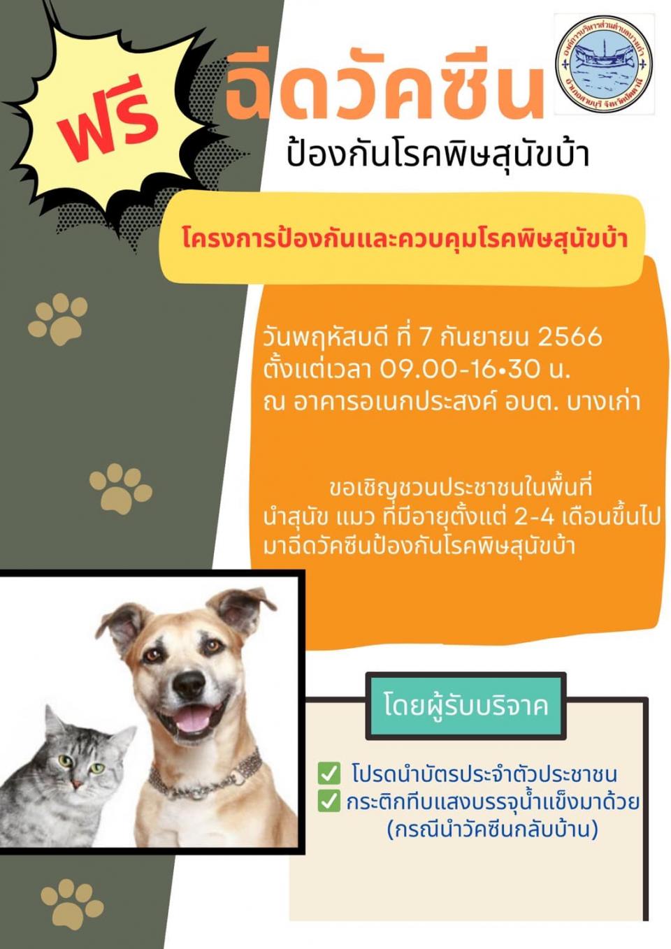 �ç��û�ͧ�ѹ��ФǺ����ä����عѢ���